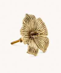 Hailey Hibiscus Knob