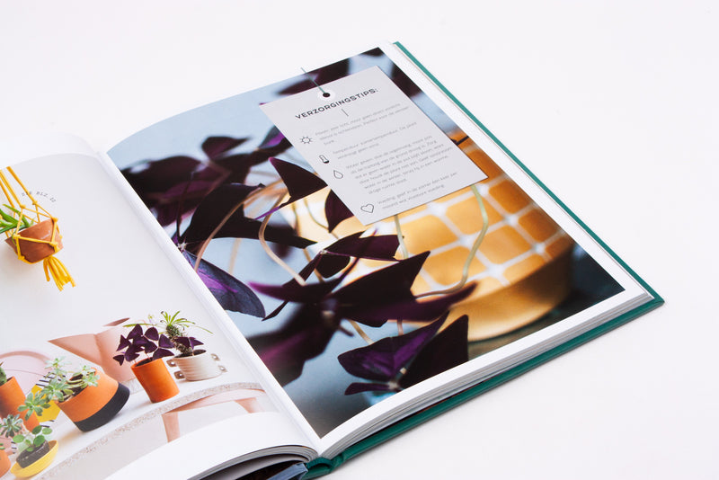 Urban Jungle boek