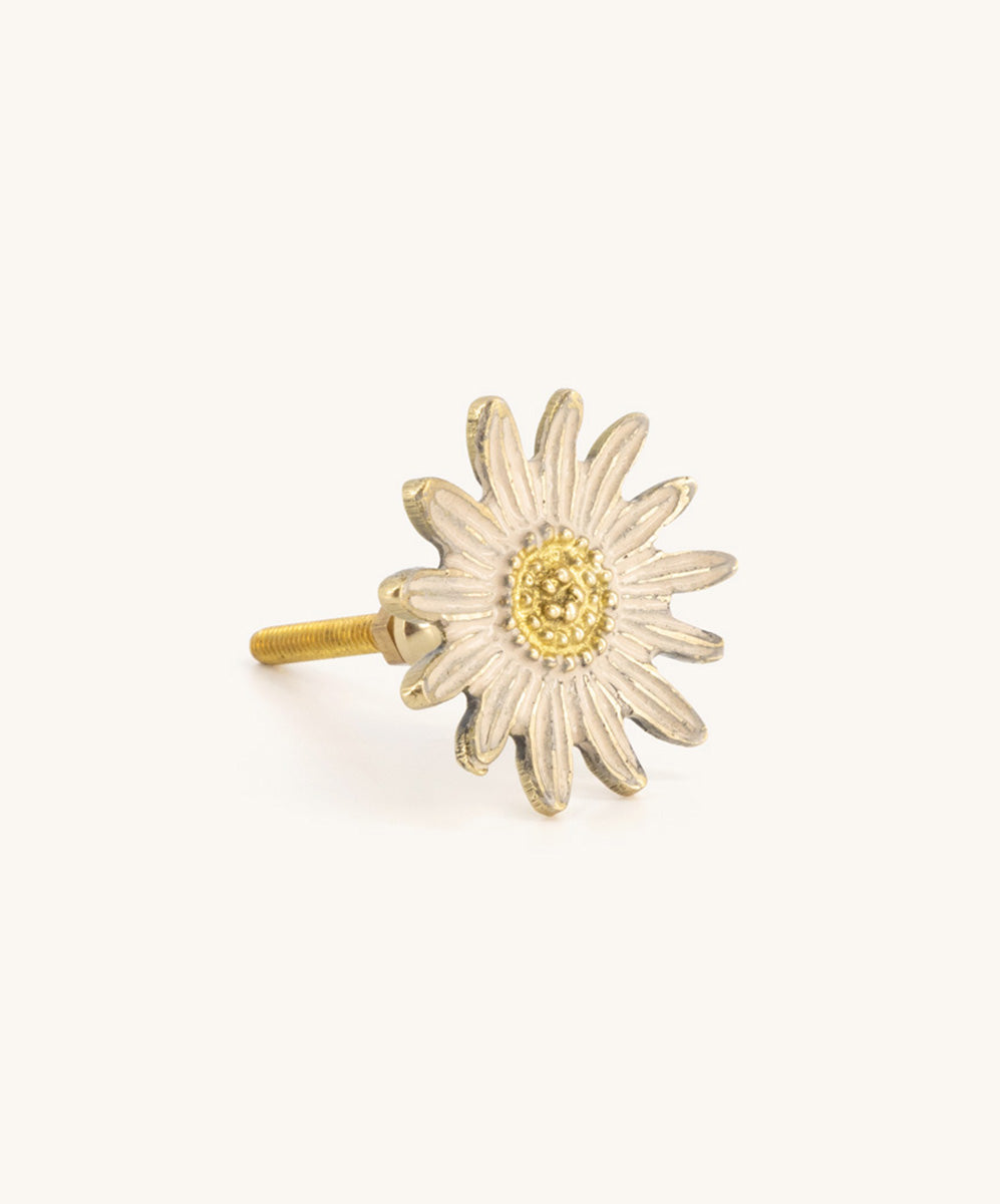 Dotty Daisy Knob