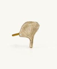 Flora Ginko Knop