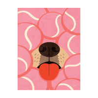 Gnitfee - Doggy heaven