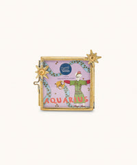 Zodiac Aquarius Frame Mini