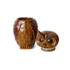 Ceramic owl jar roasted