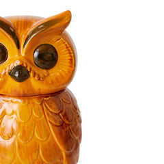 Ceramic owl jar tangerine