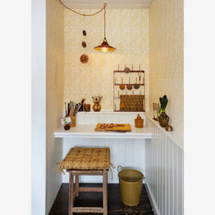 ENAMEL CEILING LAMP, Pumpkin spice