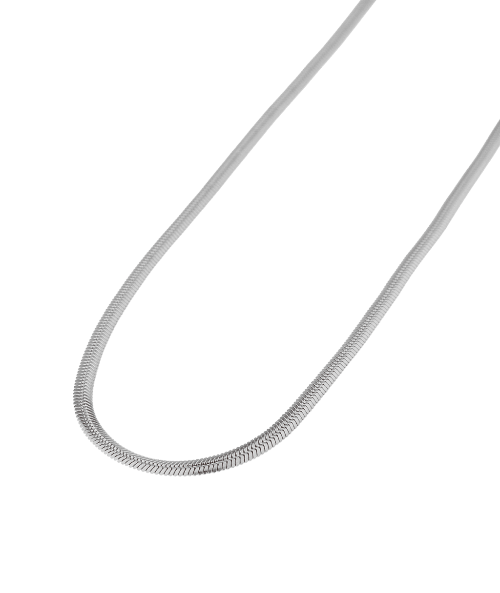 Smooth Snake Silver Necklace