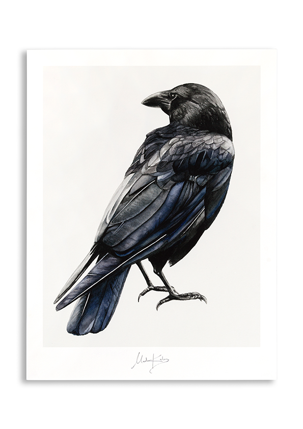 Artprint The crow