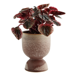 stoneware flower pot -15