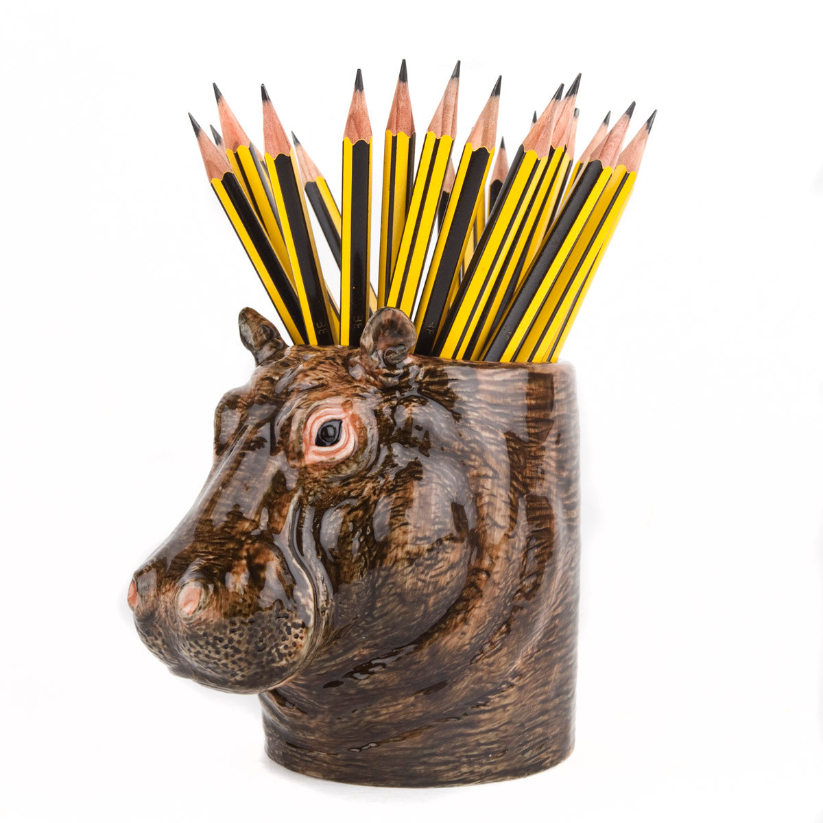 Hippo Pencil Pot