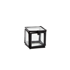 Quadratic glass box black - mini