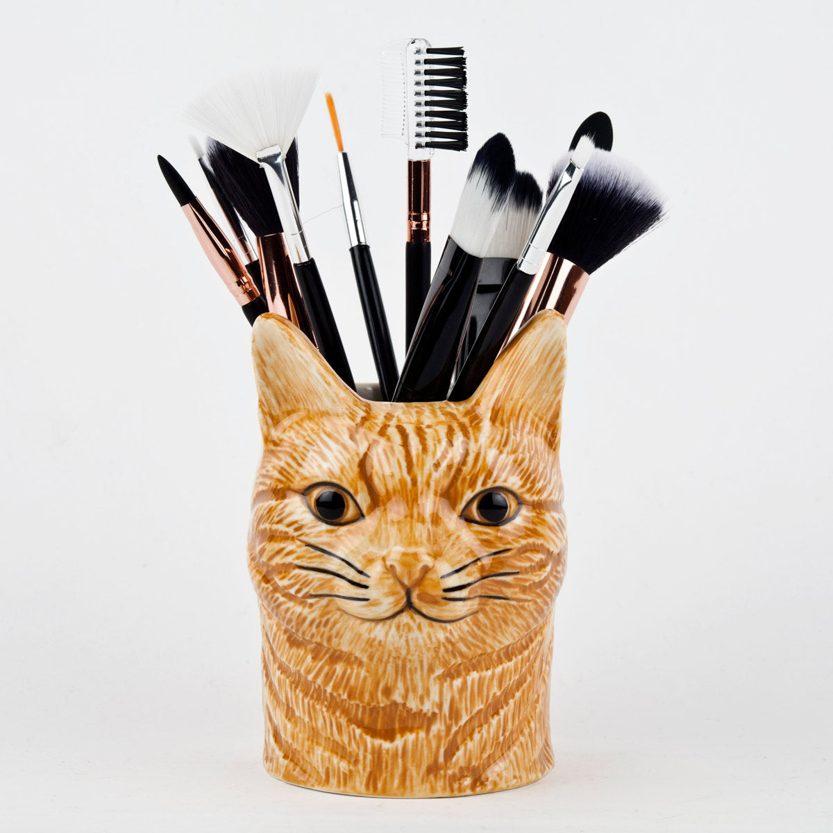 Vincent the cat Pencil Pot